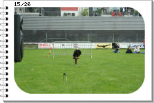 View IMG 3558